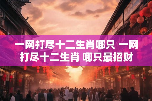 一网打尽十二生肖哪只 一网打尽十二生肖 哪只最招财