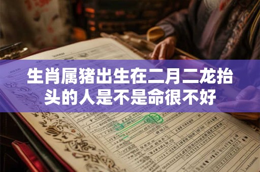 生肖属猪出生在二月二龙抬头的人是不是命很不好
