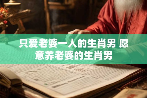 只爱老婆一人的生肖男 愿意养老婆的生肖男