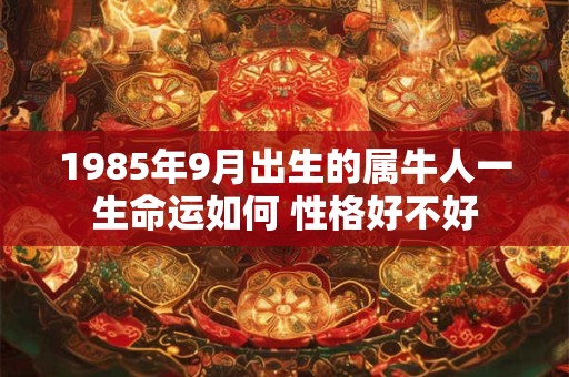 1985年9月出生的属牛人一生命运如何 性格好不好