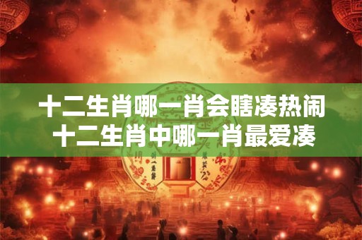 十二生肖哪一肖会瞎凑热闹 十二生肖中哪一肖最爱凑热闹