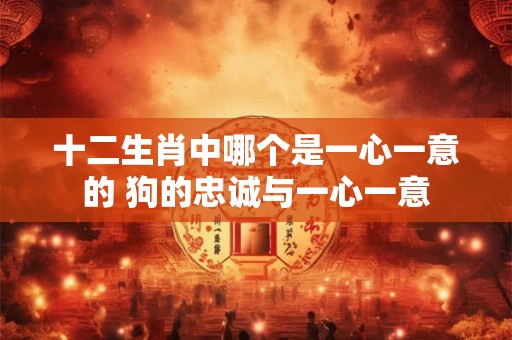 十二生肖中哪个是一心一意的 狗的忠诚与一心一意