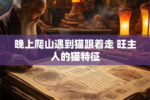 晚上爬山遇到猫跟着走 旺主人的猫特征