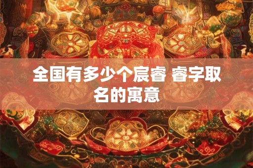 全国有多少个宸睿 睿字取名的寓意