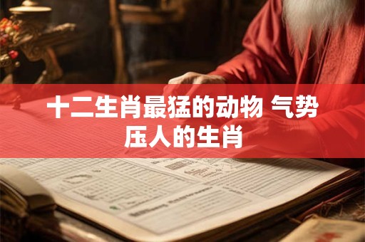 十二生肖最猛的动物 气势压人的生肖