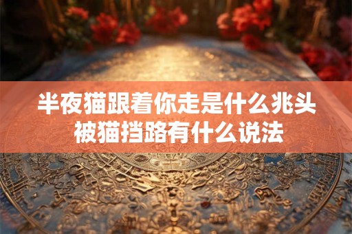 半夜猫跟着你走是什么兆头 被猫挡路有什么说法