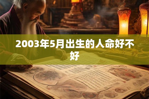 2003年5月出生的人命好不好