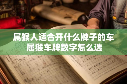 属猴人适合开什么牌子的车 属猴车牌数字怎么选