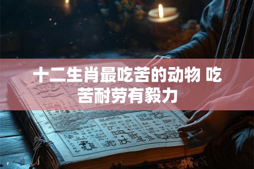 十二生肖最吃苦的动物 吃苦耐劳有毅力