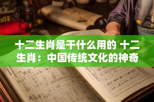 十二生肖是干什么用的 十二生肖：中国传统文化的神奇密码
