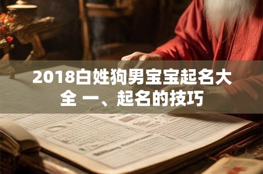 2018白姓狗男宝宝起名大全 一、起名的技巧