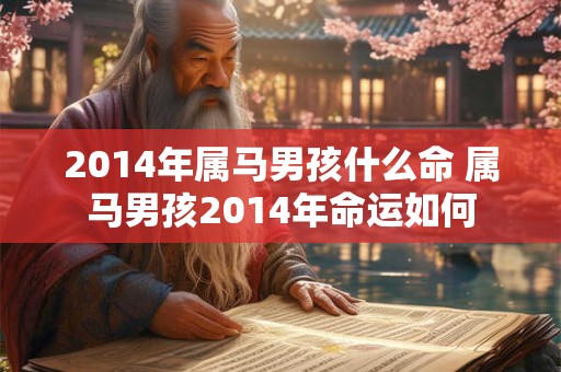 2014年属马男孩什么命 属马男孩2014年命运如何