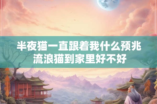 半夜猫一直跟着我什么预兆 流浪猫到家里好不好
