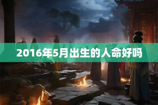 2016年5月出生的人命好吗