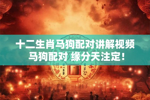 十二生肖马狗配对讲解视频 马狗配对 缘分天注定！