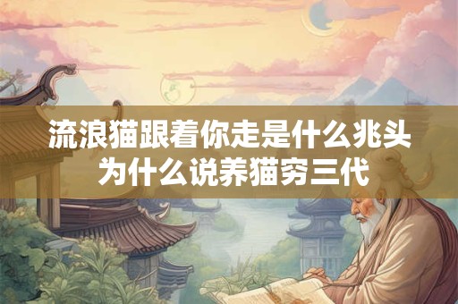 流浪猫跟着你走是什么兆头 为什么说养猫穷三代