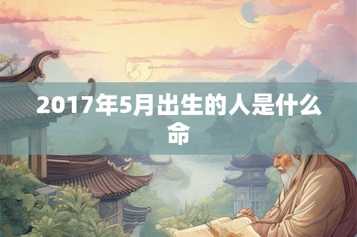 2017年5月出生的人是什么命