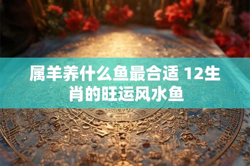 属羊养什么鱼最合适 12生肖的旺运风水鱼