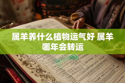 属羊养什么植物运气好 属羊哪年会转运
