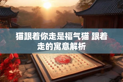 猫跟着你走是福气猫 跟着走的寓意解析