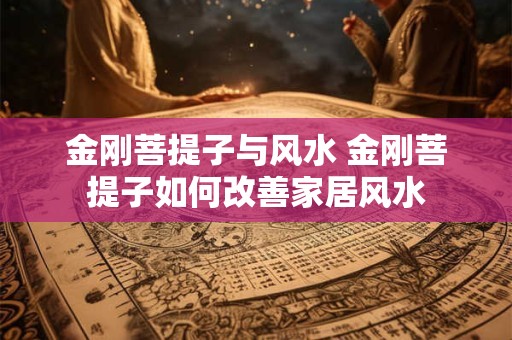 金刚菩提子与风水 金刚菩提子如何改善家居风水