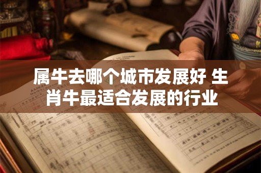 属牛去哪个城市发展好 生肖牛最适合发展的行业
