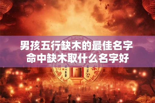男孩五行缺木的最佳名字 命中缺木取什么名字好