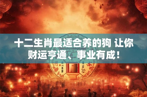 十二生肖最适合养的狗 让你财运亨通、事业有成！