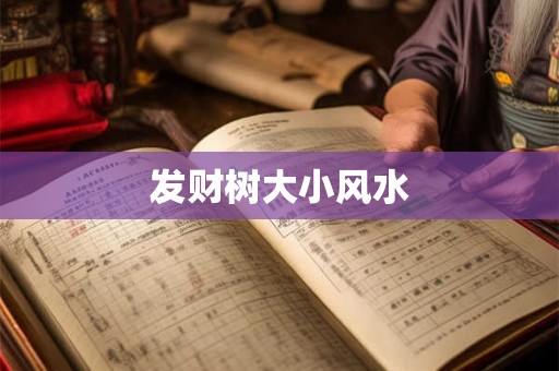 发财树大小风水