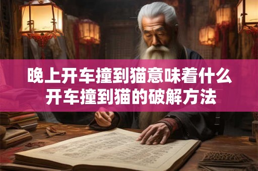 晚上开车撞到猫意味着什么 开车撞到猫的破解方法
