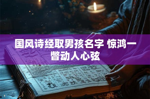 国风诗经取男孩名字 惊鸿一瞥动人心弦