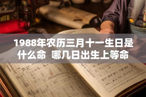 1988年农历三月十一生日是什么命  哪几日出生上等命