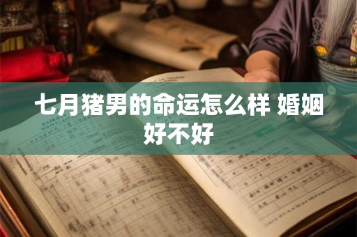 七月猪男的命运怎么样 婚姻好不好