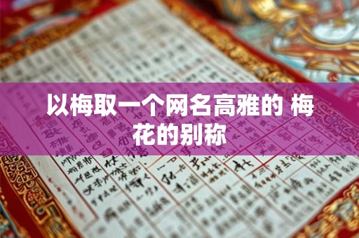 以梅取一个网名高雅的 梅花的别称
