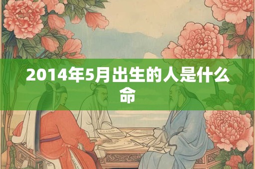 2014年5月出生的人是什么命