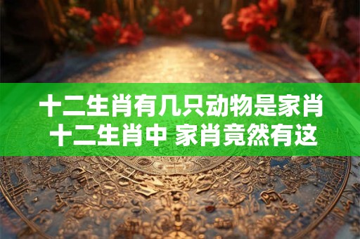 十二生肖有几只动物是家肖 十二生肖中 家肖竟然有这么多！