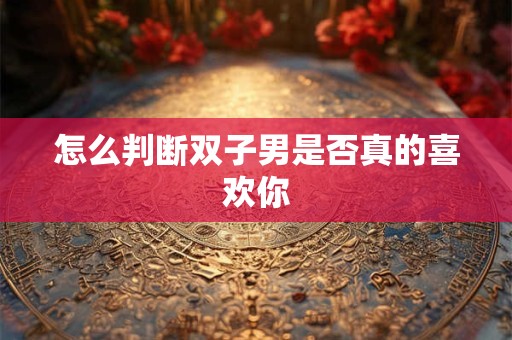 怎么判断双子男是否真的喜欢你