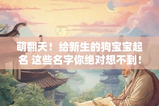 萌翻天！给新生的狗宝宝起名 这些名字你绝对想不到！