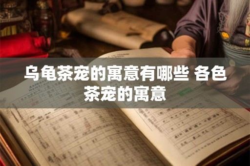 乌龟茶宠的寓意有哪些 各色茶宠的寓意