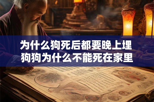 为什么狗死后都要晚上埋 狗狗为什么不能死在家里