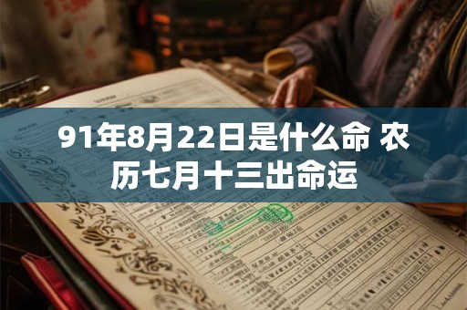 91年8月22日是什么命 农历七月十三出命运