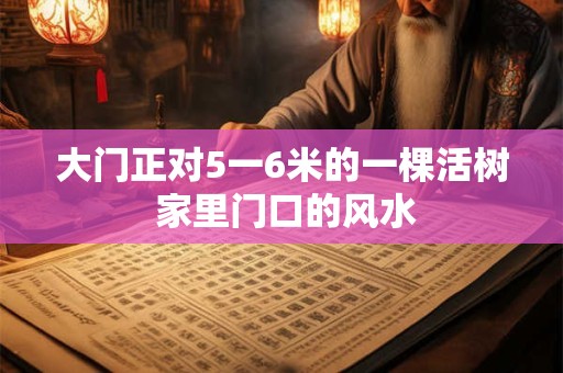 大门正对5一6米的一棵活树 家里门口的风水
