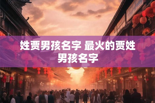 姓贾男孩名字 最火的贾姓男孩名字