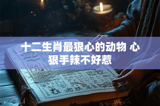 十二生肖最狠心的动物 心狠手辣不好惹