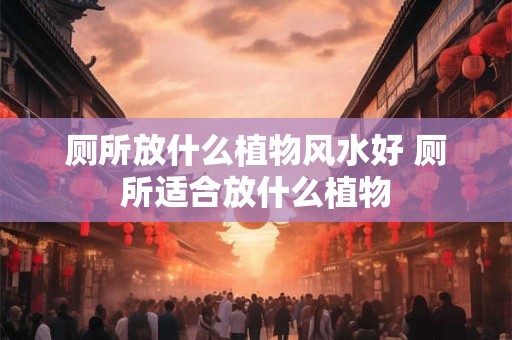 厕所放什么植物风水好 厕所适合放什么植物