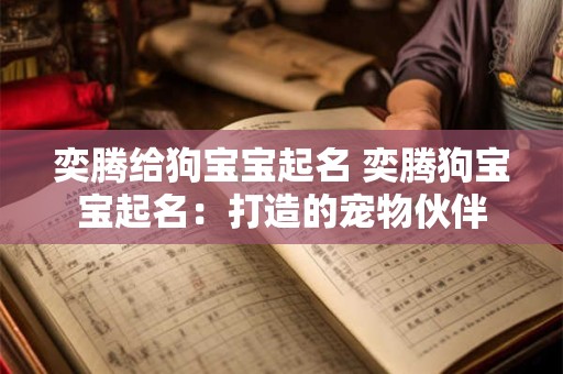 奕腾给狗宝宝起名 奕腾狗宝宝起名：打造的宠物伙伴