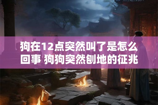 狗在12点突然叫了是怎么回事 狗狗突然刨地的征兆