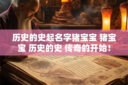 历史的史起名字猪宝宝 猪宝宝 历史的史 传奇的开始！