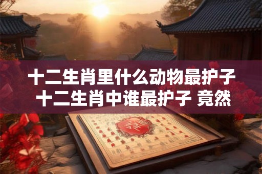 十二生肖里什么动物最护子 十二生肖中谁最护子 竟然是它！