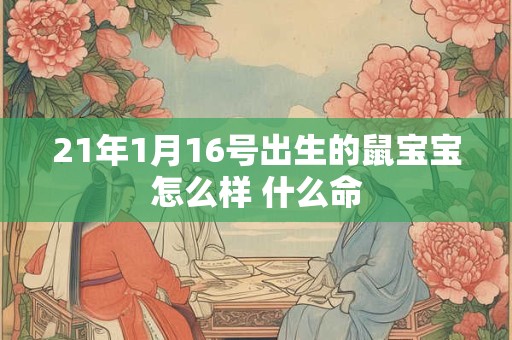 21年1月16号出生的鼠宝宝怎么样 什么命